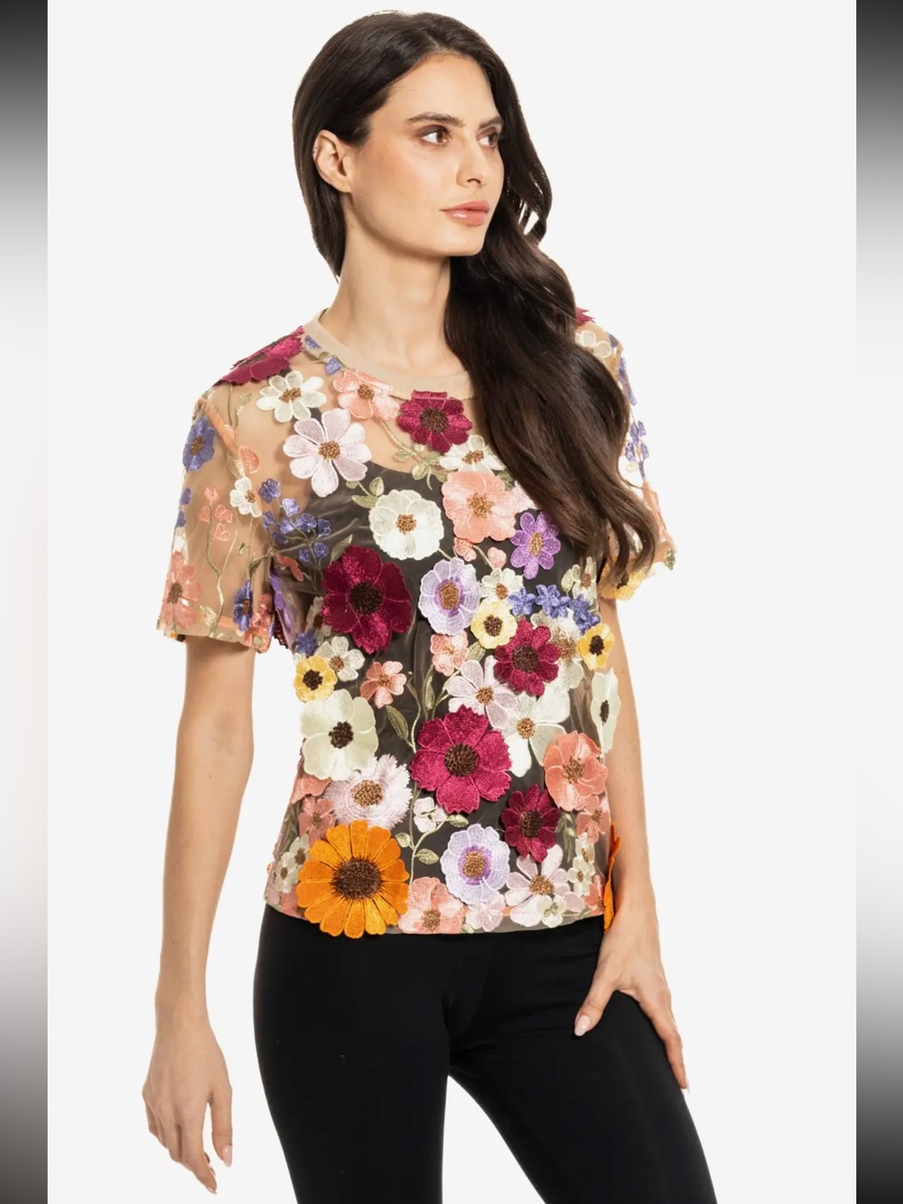 Tan Adore Multi-Color Floral Embroidered Sheer Short Sleeve Top